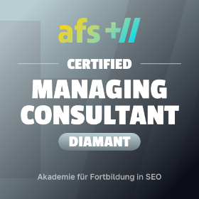 afs-Academy for advanced training in SEO: Managing Consultant